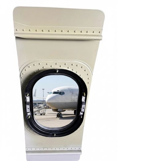 Aer Lingus Airbus A320 Window Panel EI-CVC Aviation Wall Art / Display Piece