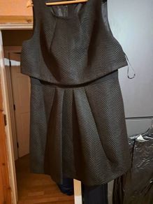 ladies plus size dress