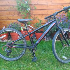 Kids bike