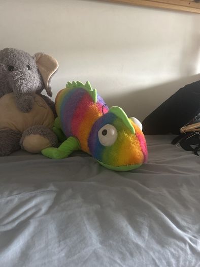 3 large teddy - free