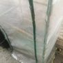 greenhouse Image 3