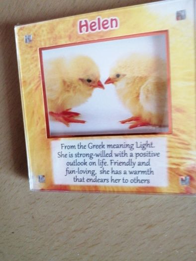 HELEN  Magnet photo frame new