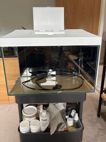 Fish Tank