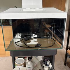Fish Tank