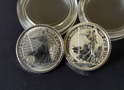 1/10 OZ Platinum and Silver Britannia Coins