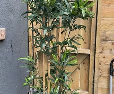 Fake Bamboo 2m tall