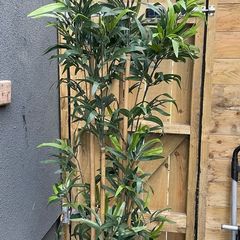 Fake Bamboo 2m tall