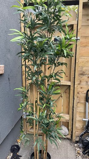 Fake Bamboo 2m tall