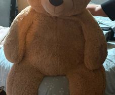 very large teddy lightning in room poor very clean