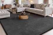 160x230cm Soft Shaggy Carpet Rugs for Bedroom, Machine Washable Anti Slip, Non Shedding Modern Indoor for Dorm Teens Room Decor, Drak Grey