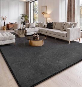 160x230cm Soft Shaggy Carpet Rugs for Bedroom, Machine Washable Anti Slip, Non Shedding Modern Indoor for Dorm Teens Room Decor, Drak Grey