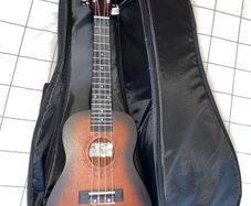 Ukelele Tiare Tanglewood with case like new