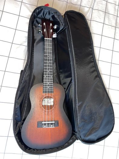 Ukelele Tiare Tanglewood with case like new