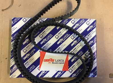 Timing Belt (Punto 176 Diesel)