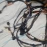 Ford Head Unit to CD Changer Female to Female Extension Cable Lead 1.25M Ford 97BP-18K925 AD Image 6