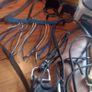 Equestrian Bundle Image 3