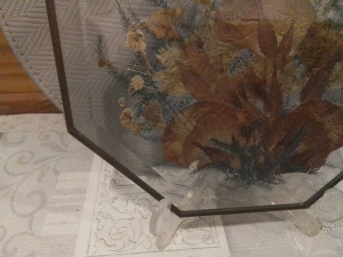 Glass Pressed Flower Hexagonal Wall Decor