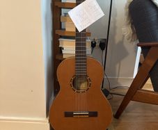 Ortega Family Series acoustic guitar