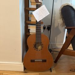 Ortega Family Series acoustic guitar