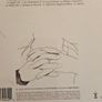 Paul McCartney - Chaos And Creation In The Backyard. Image 2