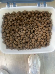 Dog Food