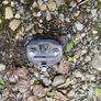 Lexus IS220D 2007 front bumper crash support brackets Image 4