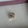 Pandora Disney Mrs. Potts and chip charm  perfect condition Image 4
