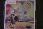 Villagers - Darling Arithmetic CD
