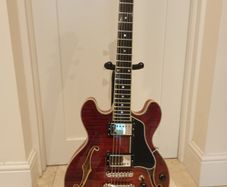 Eastman T484 Semi-Hollow Electric Guitar