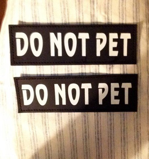 Luminous Velcro labels for dog harness