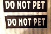 Luminous Velcro labels for dog harness