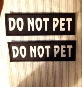 Luminous Velcro labels for dog harness