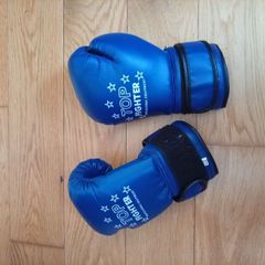 6oz blue boxing gloves