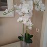 Artificial Plant Flowers Large Size New Image 2