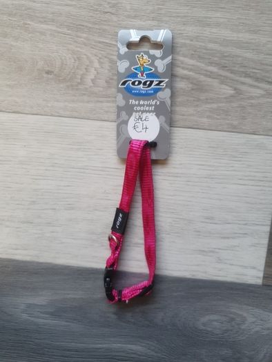Dog collars on sale