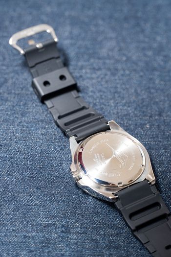 Casio Duro MDV-106 Dive Watch