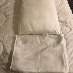 Microfibre pillow & pillowcase