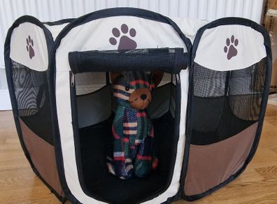 cat dog tent