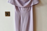 Bardot purple dress (River Island)