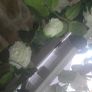Selection 5 - 2 x White Rose Garlands Garland  Fake Artificial Flowers   with 17 flowers on each , approx 2.5m long each Wedding Arch Image 5