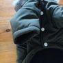 Dog coat. Image 9
