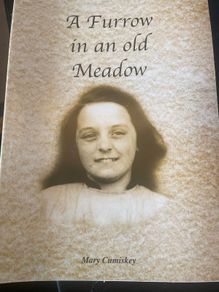 A Furrow in an Old Meadow by Mary Cumiskey