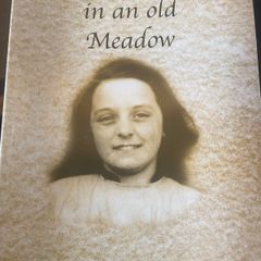 A Furrow in an Old Meadow by Mary Cumiskey