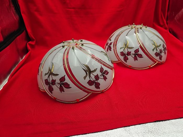 Retro glass lampshades decorated with an iris flower motif