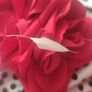 bag and fascinator red Image 2