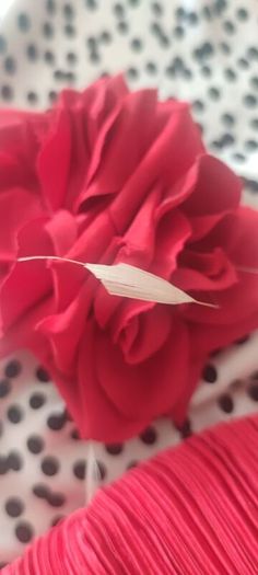 bag and fascinator red