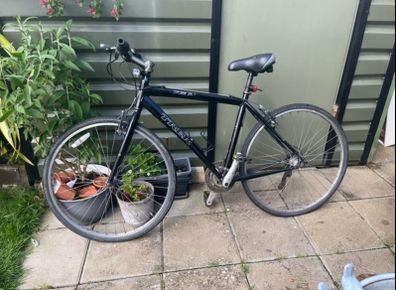 Trek Hybrid bike