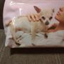 Brand new Chihuahua print vanity bag Image 2