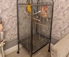 parrot cage
