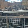 Last Load Black Coal Image 7
